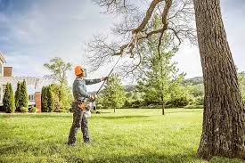 Best Pest Control for Lawns  in Sullivan, MO