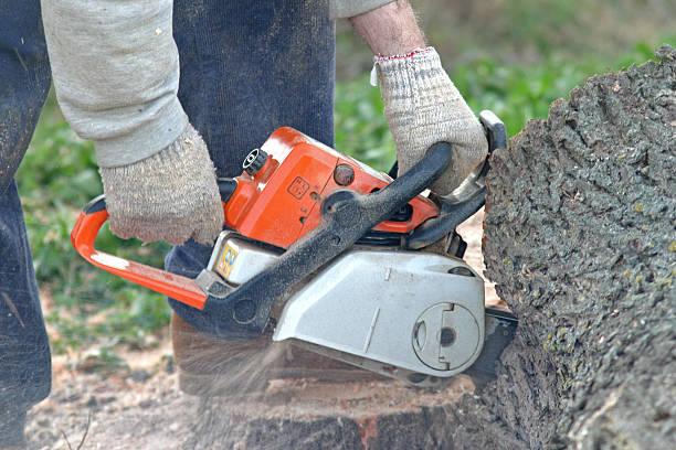 Best Commercial Tree Services  in Sullivan, MO